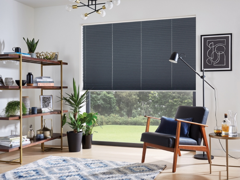 Pleated Blinds