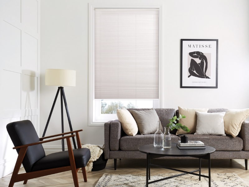 Pleated Blinds company