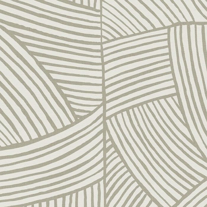 Maverick Mushroom Blackout