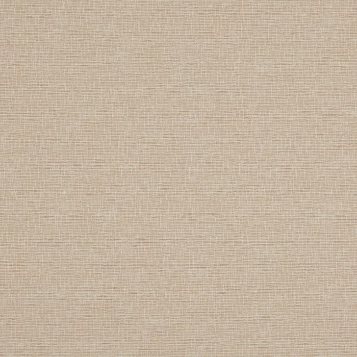 Monte Blackout Praline