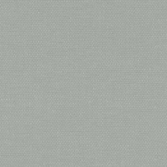 Polaris Blackout Grey