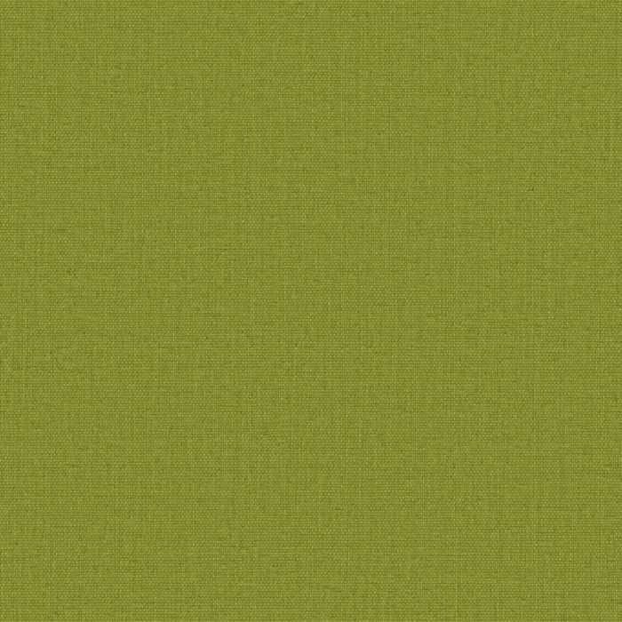 Polaris Blackout Olive