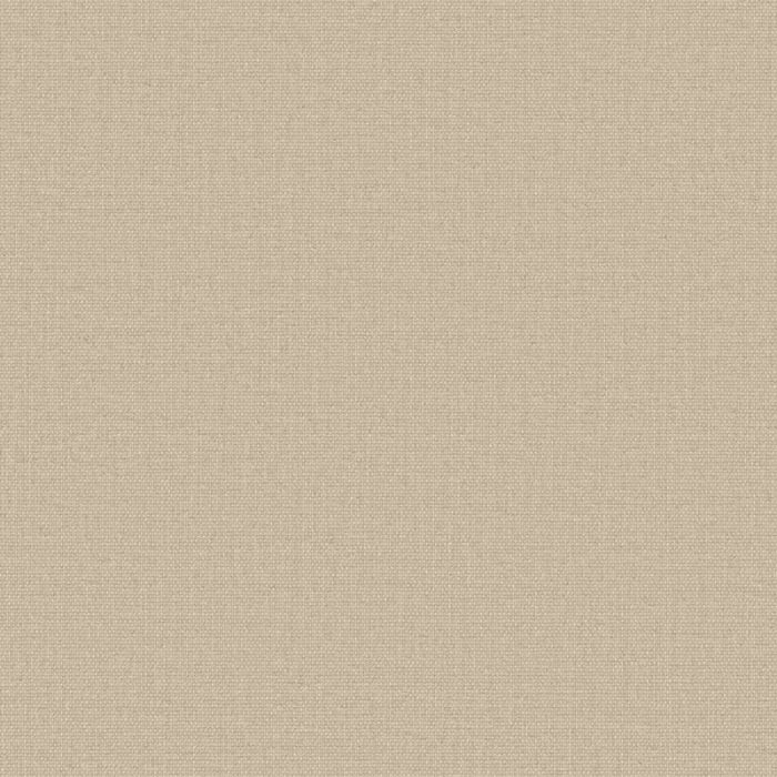 Polaris Blackout Oyster