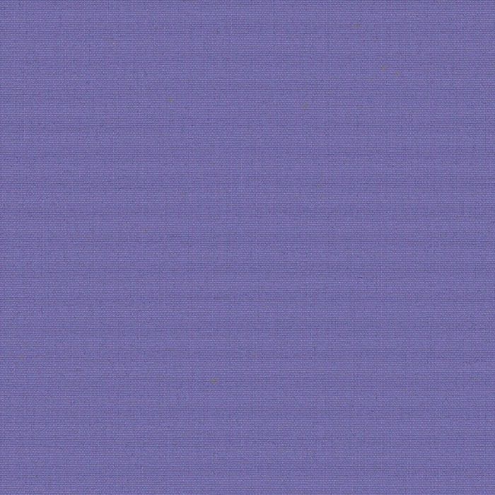 Polaris Blackout Violet