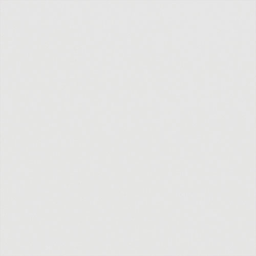 Carnival BO China White