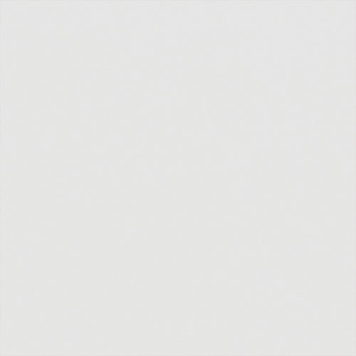 Carnival China White