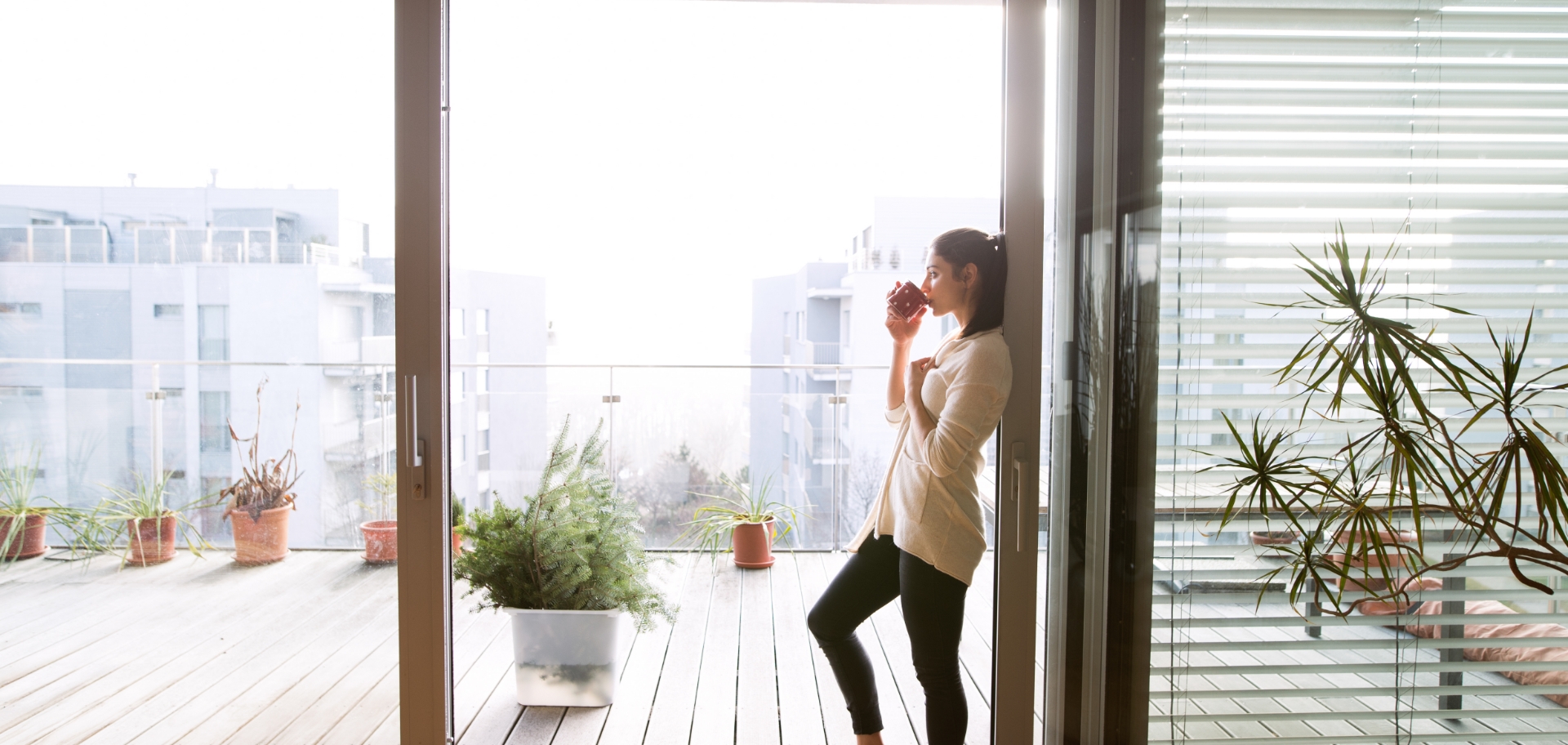 window blinds Catterick