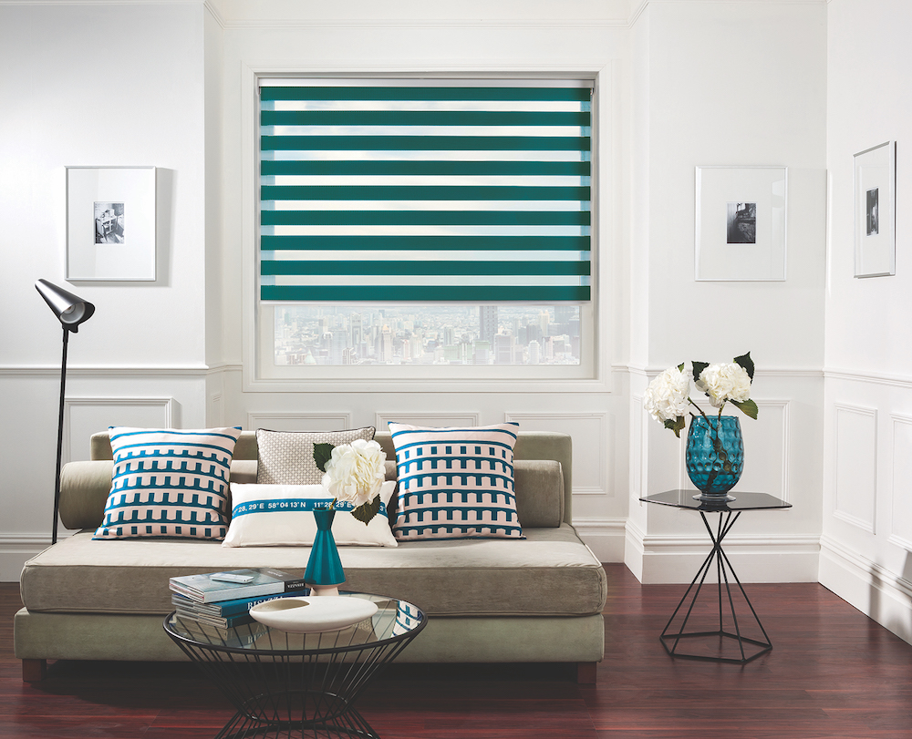 Vision window blinds