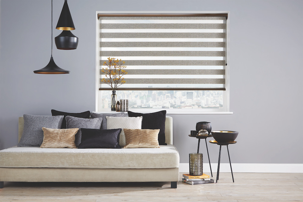 Vision blinds for privacy and light control 