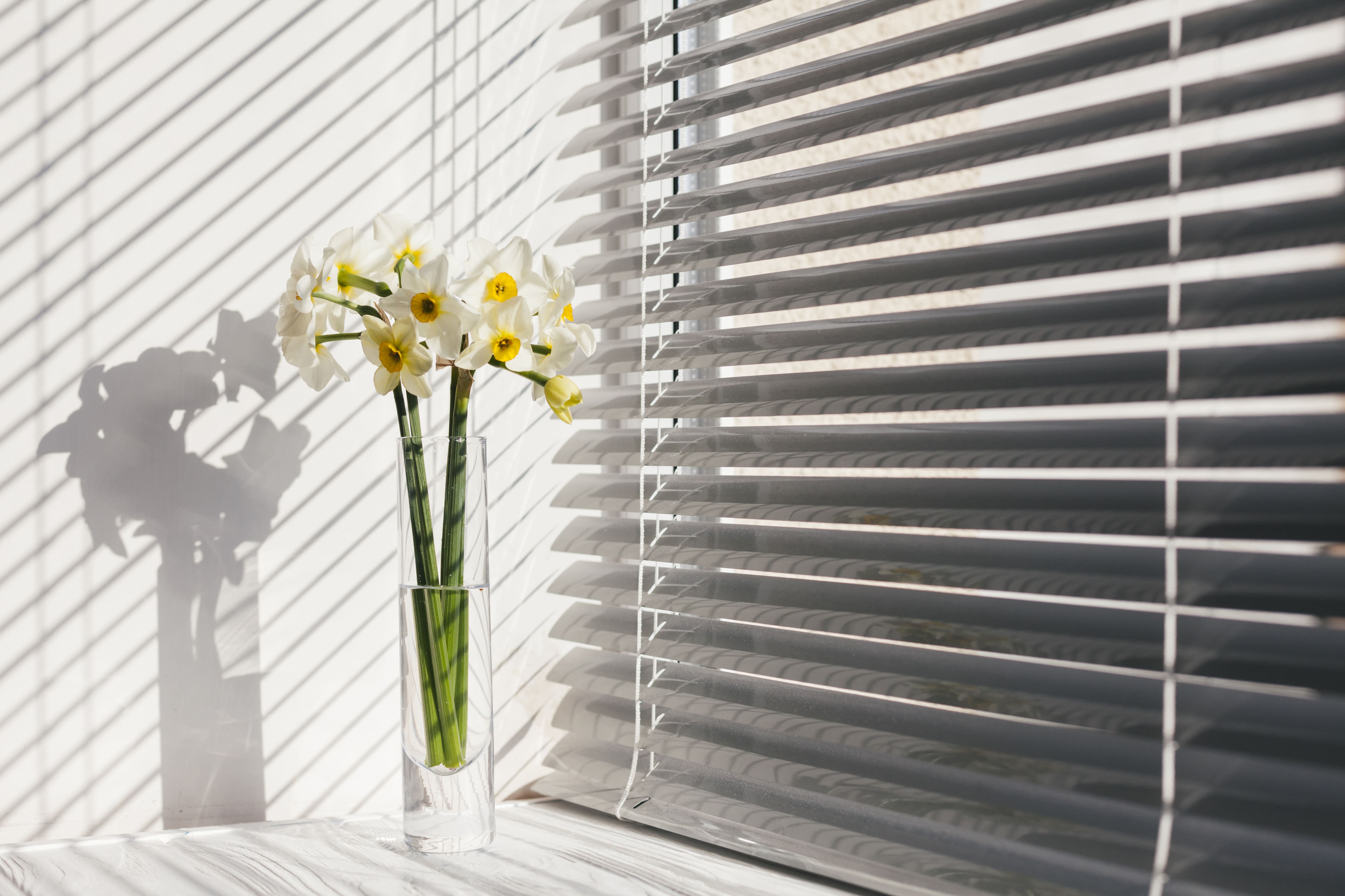  Let the Light Shine In: Choosing the Perfect Window Blinds